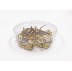קופסא אקרילית עגולה - 